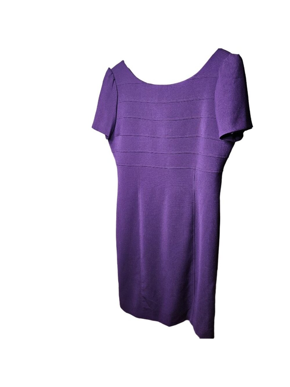 Tahari Arthur S. Levine Purple Sheath Dress Short Sleeves Size 10